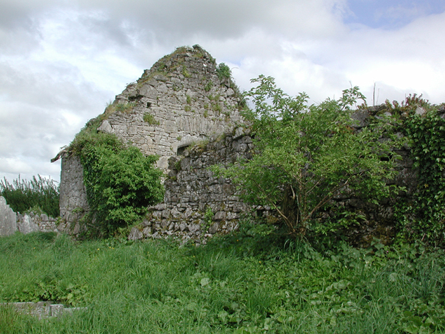 Church ruins outside of Midleton.jpg 378.7K